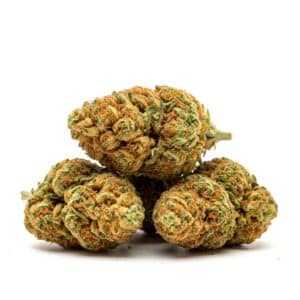 THCa Flower -  Lemon Cherry Gelato - Small Buds