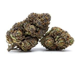 THCa Flower -  Purple Gelato