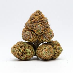 THCa Flower -  Sunset Sherbert