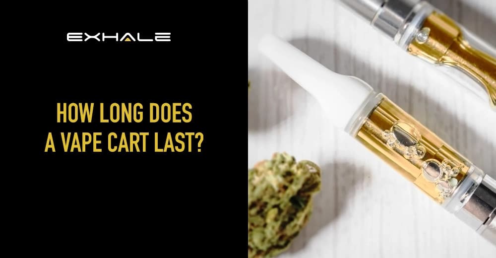 safest vape to smoke Nicotine-Free Vape: Is It That Much Safer?