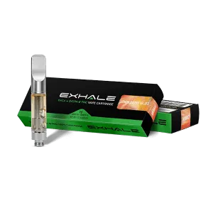 why is vape juice getting in my mouth Vape Spitting? How To Stop Spitback When Vaping. – Freeman Vape why is vape juice getting in my mouth Vape Spitting? How To Stop Spitback When Vaping. – Freeman Vape