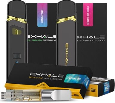 exhale live resin disposable vapes Buy Delta 8 Disposable Vape 1 Gram Delta-8 Disposable Vape – Budget THC Vape  Pen Delta 8 THC Live Resin Disposable Vape Pen main image 0
