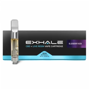 exhale live resin disposable vapes Shop Cartridges Products Online Flavor:Chicago Cocktail (Sparkling Edition) RandM Tornado 7000 VOOPOO Argus User Manual