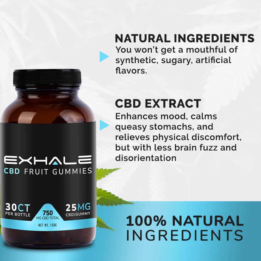 750_GUMMIES_3 cbd fruit gummies extract info