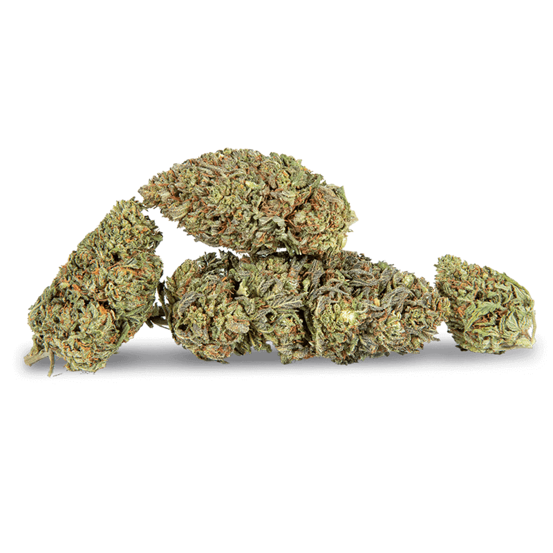 Northern-Lights-Group-Nugs-colors-7669 D8 Flower Northern Lights spilled
