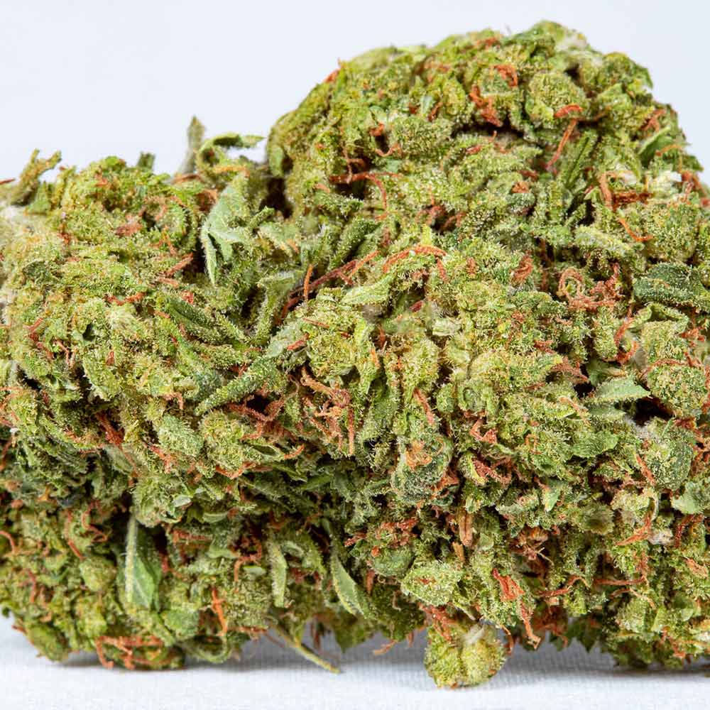OG-Kush-Macro-colors-7959 D8 Flower OG Kush closeup