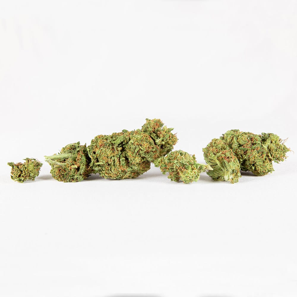 Skywalker-Group-Nugs-colors-7548 D8 Flower Skywalker spilled