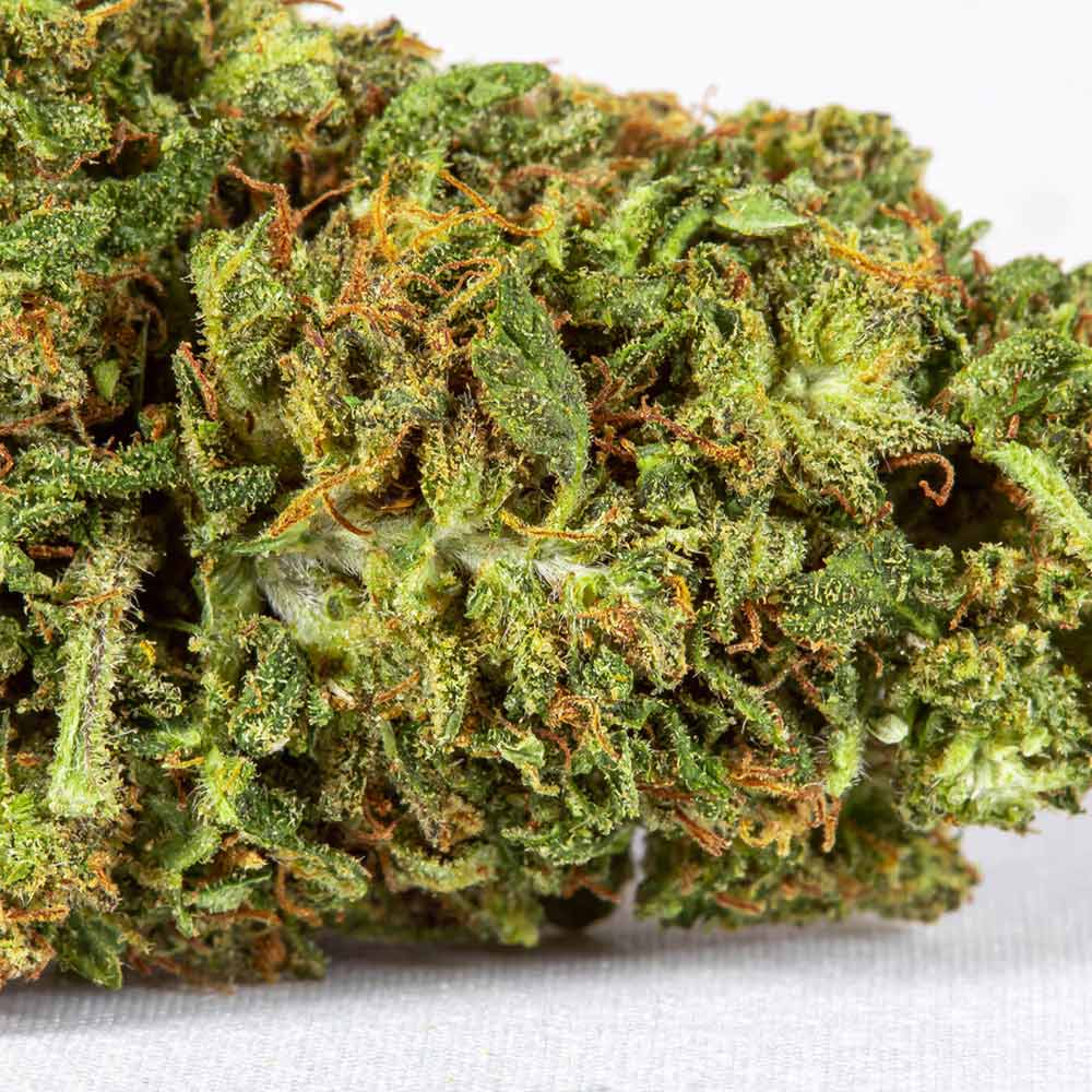 Sour-Diesel-Macro-colors-7495 D8 Flower Sour Diesel close up