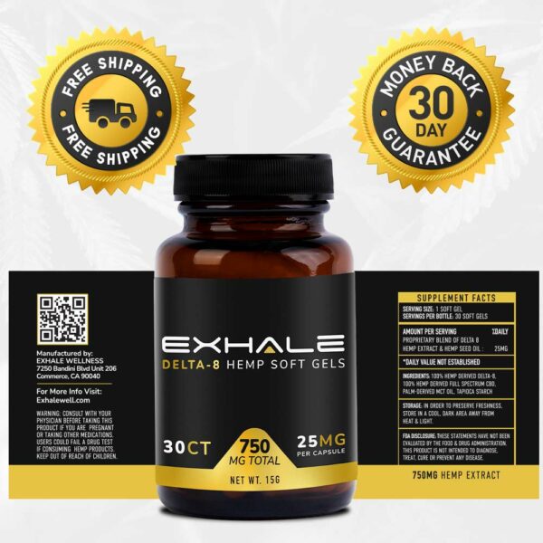free shipping money back guarantee