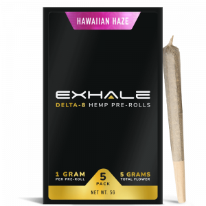 D8 Pre Rolls Hawaiian Haze with one pre roll