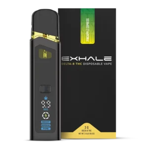 Delta 8 Disposable Vape Pen - Pineapple Express