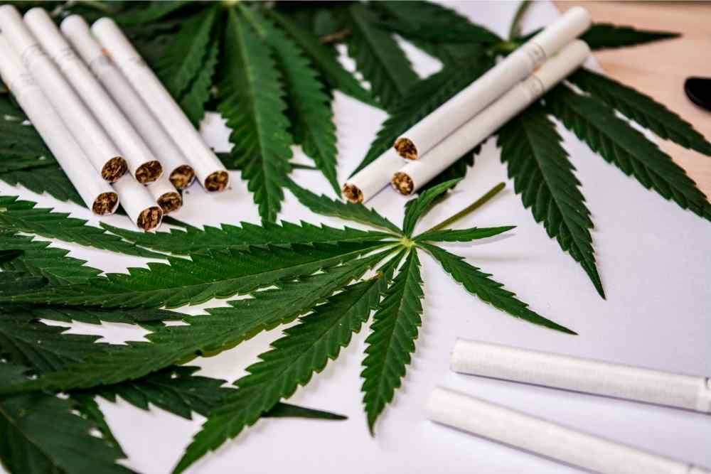 d8 cigarettes and hemp