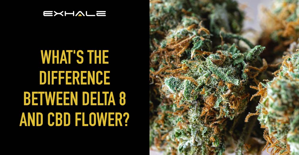 delta 8 flower vs cbd flower