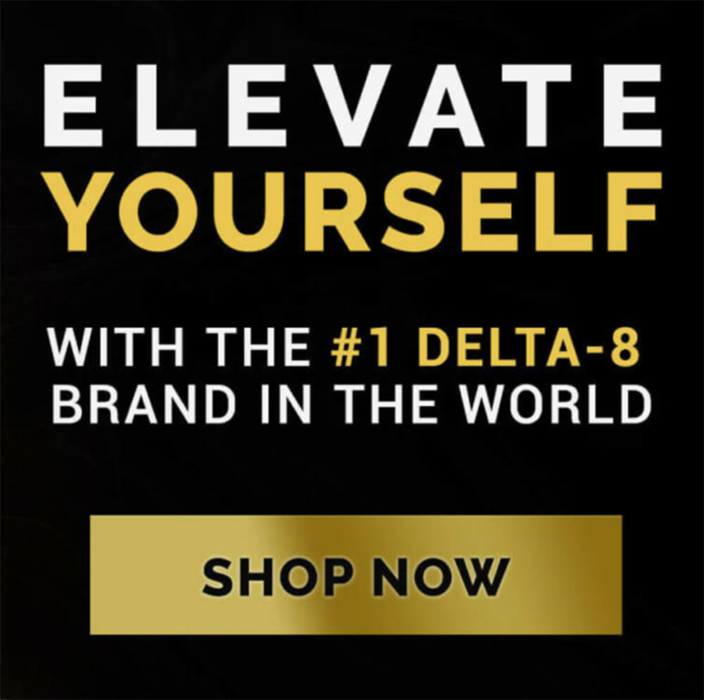 Black Friday Sales Event Banner Home Page