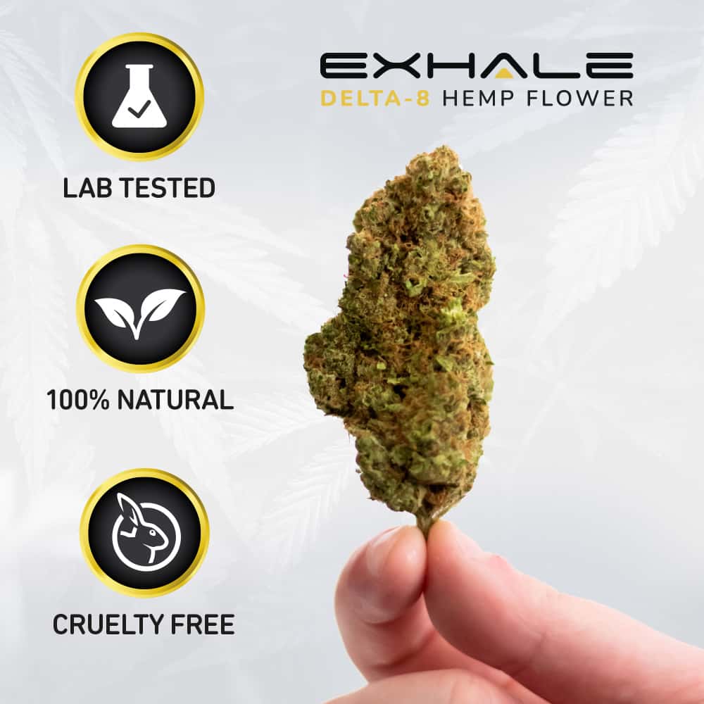 Delta-8 Edibles Effects - Products|Thc|Hemp|Brand|Gummies|Product|Delta-8|Cbd|Origin|Cannabis|Delta|Users|Effects|Cartridges|Brands|Range|List|Research|Usasource|Options|Benefits|Plant|Companies|Vape|Source|Results|Gummy|People|Space|High-Quality|Quality|Place|Overview|Flowers|Lab|Drug|Cannabinoids|Tinctures|Overviewproducts|Cartridge|Delta-8 Thc|Delta-8 Products|Delta-9 Thc|Delta-8 Brands|Usa Source|Delta-8 Thc Products|Cannabis Plant|Federal Level|United States|Delta-8 Gummies|Delta-8 Space|Health Canada|Delta Products|Delta-8 Thc Gummies|Delta-8 Companies|Vape Cartridges|Similar Benefits|Hemp Doctor|Brand Overviewproducts|Drug Test|High-Quality Products|Organic Hemp|San Jose|Editorial Team|Farm Bill|Overview Products|Wide Range|Psychoactive Properties|Reliable Provider|Boston Hempire