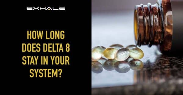 How Long Does Delta-8 THC Stay In Your System? - Exhale Wellness