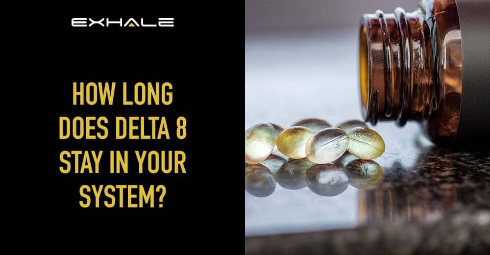 How Long Does Delta8 THC Stay In Your System? Exhale Wellness