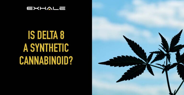 is delta 8 a synthetic cannabinoid