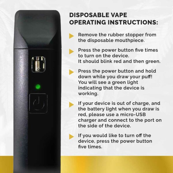 Disposable Vape Instructions