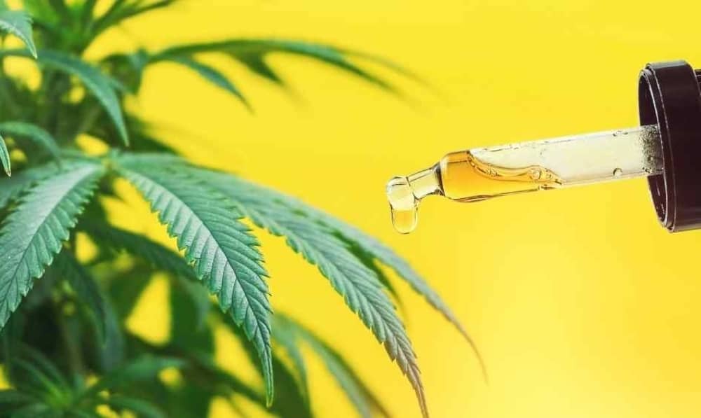 cbd oil with hemp background