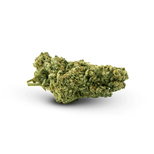 mac-1-miracle-alien-cookies-weed-strain-nug-thca-flower