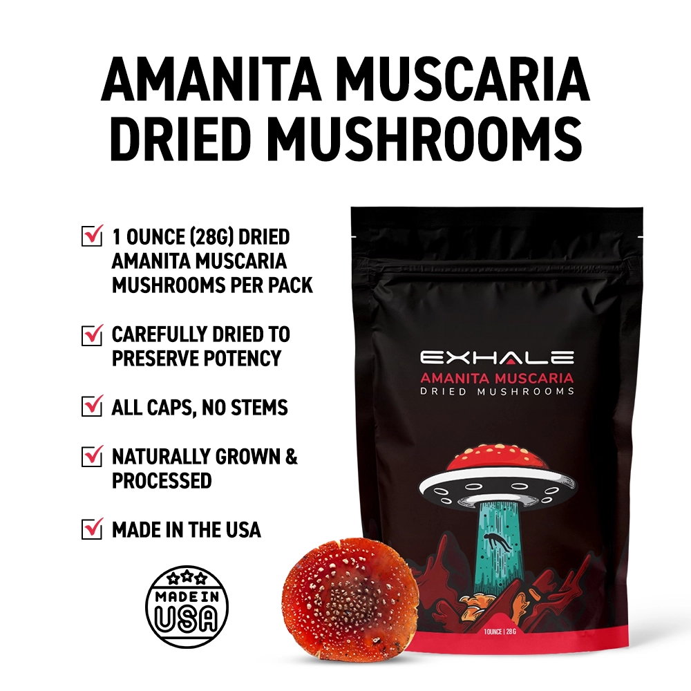 amanita muscaria dried mushrooms exhale wellness