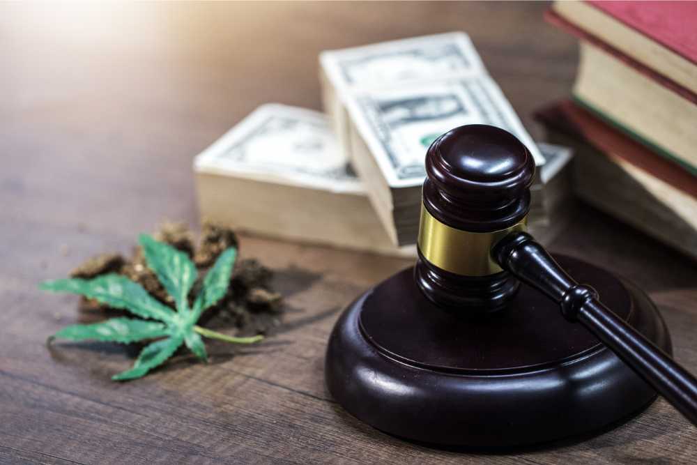 judge gavel and cannabis on table