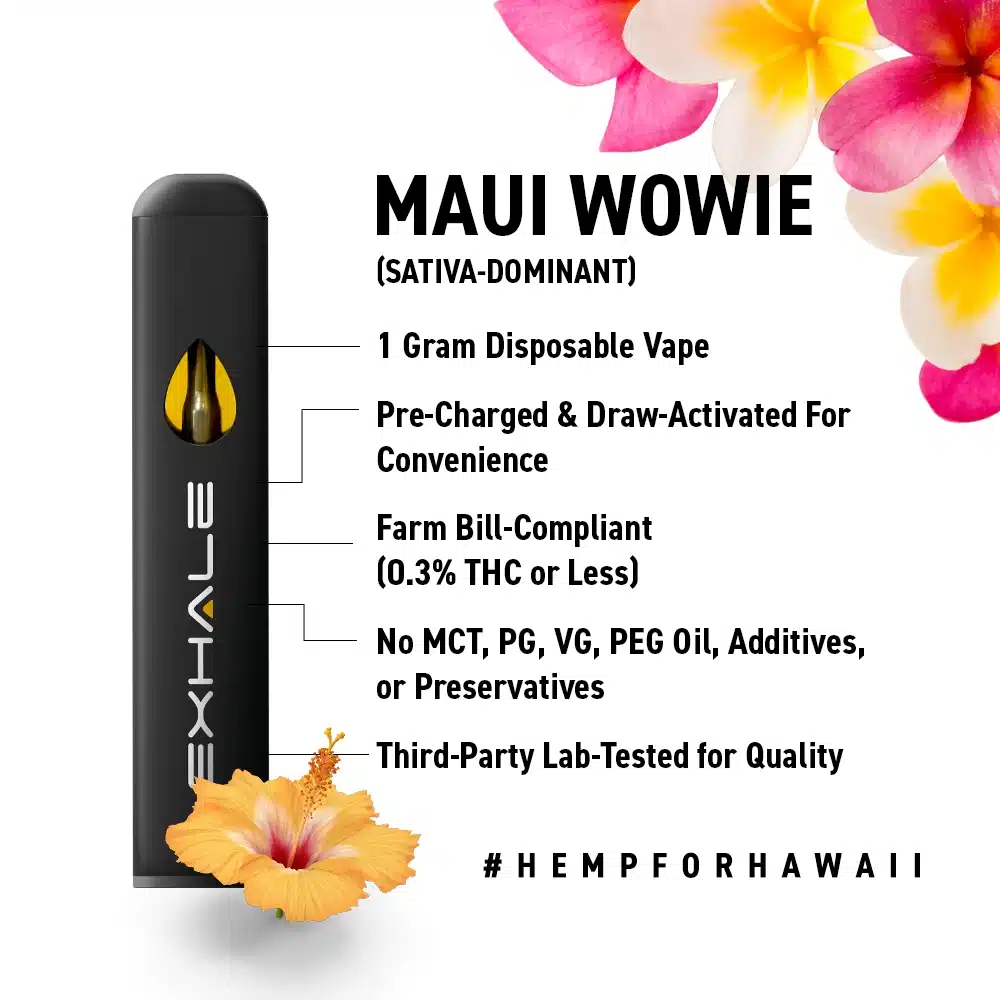 EX_D8_MAUIWOWIE_3
