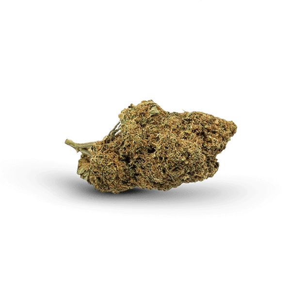 thca-flower-pineapple-express-strain-nug