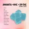 D9 + HHC + Amanita gummies - Exhale Wellness 5 pack gummies