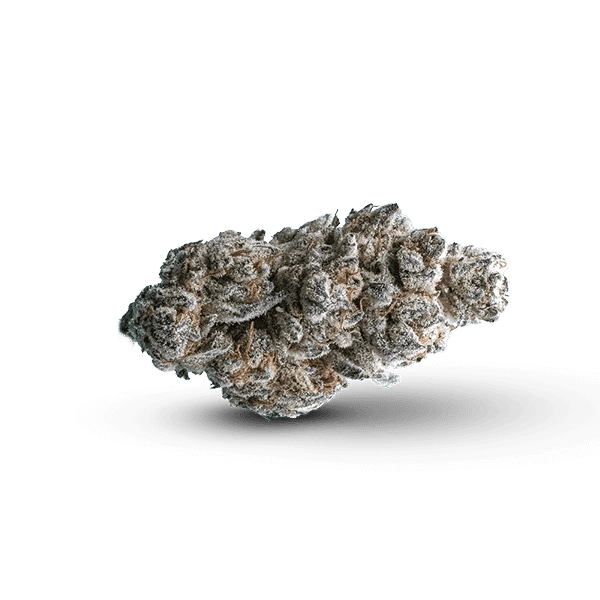 Sex-panther-strain-nug-thca-flower