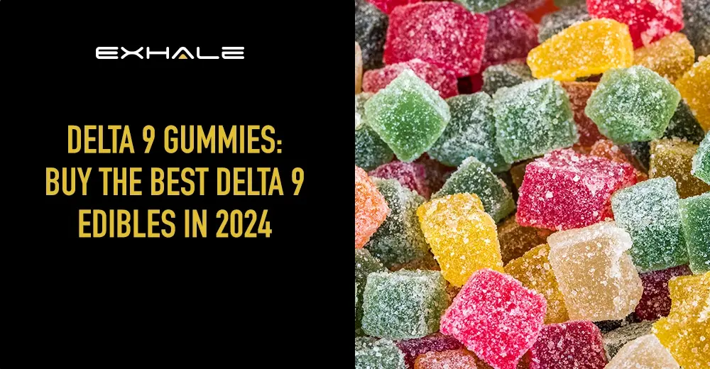 best-delta-9-gummies-featured-image