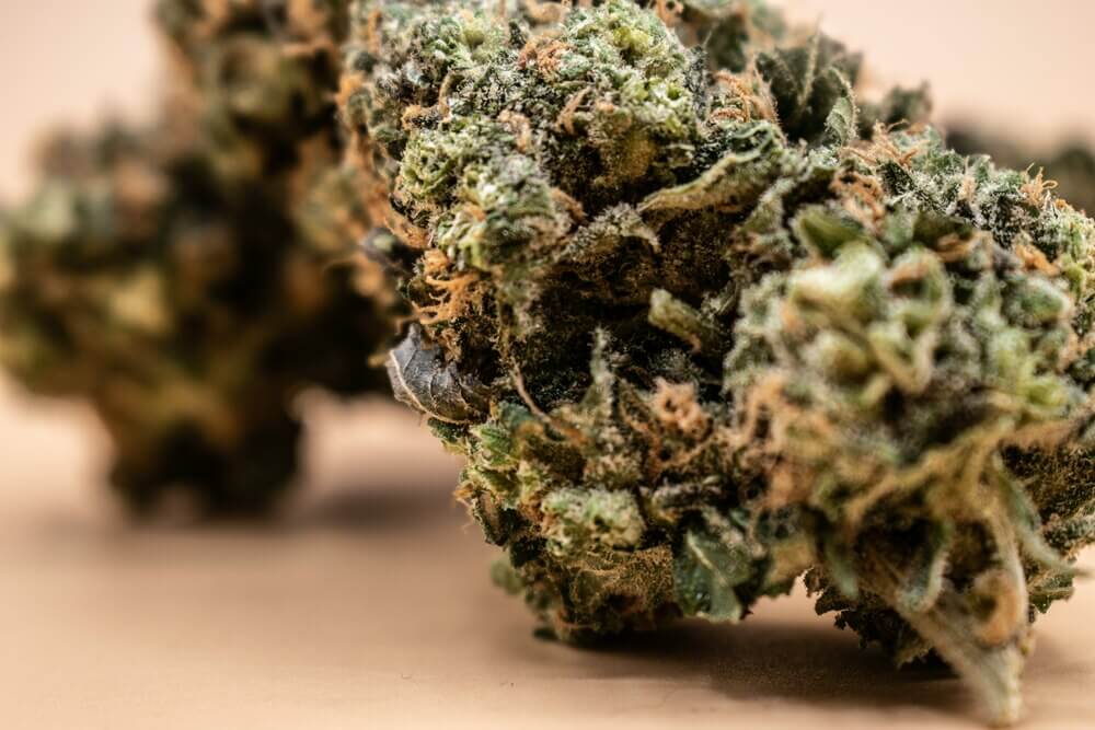 closeup-flower-nug