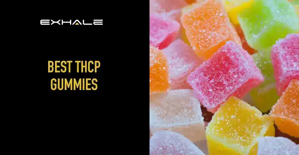 thcp-gummies-blog-image