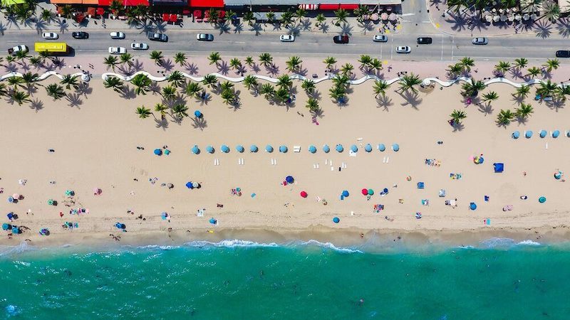 florida-beach-birds-eye