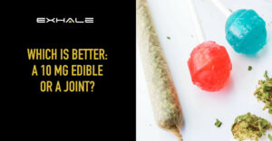 10 mg edible vs joint