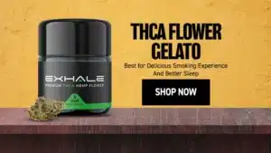 thca flower gelato