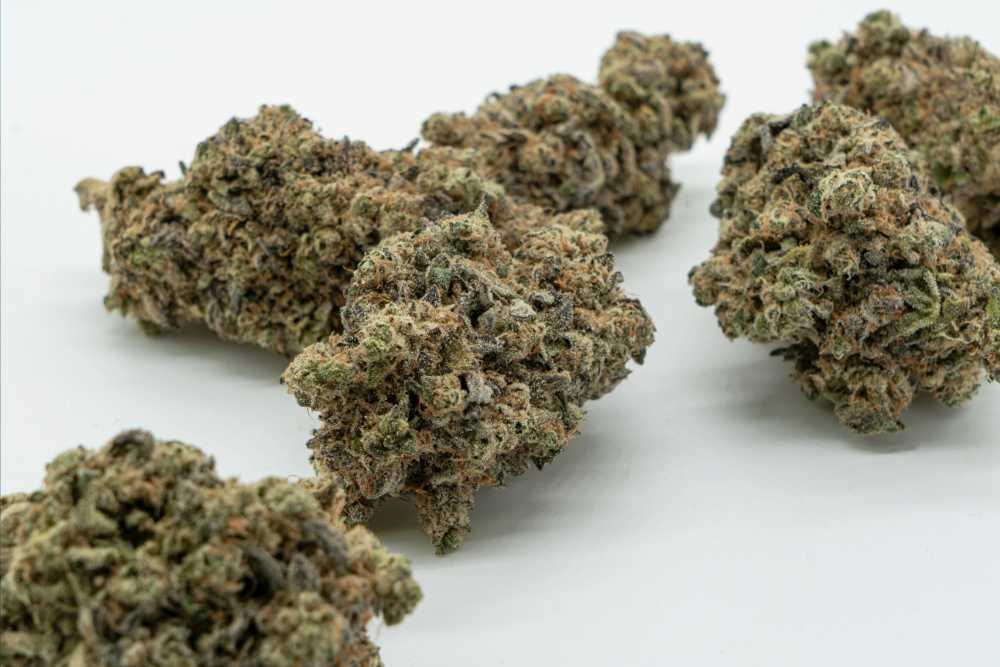 closeup shot of thca flower nugs
