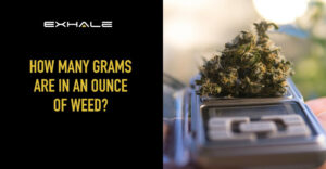 how many grams are in an ounce of weed