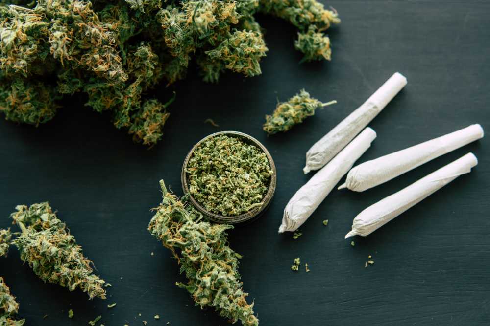 rolled joints next to cannabis flower