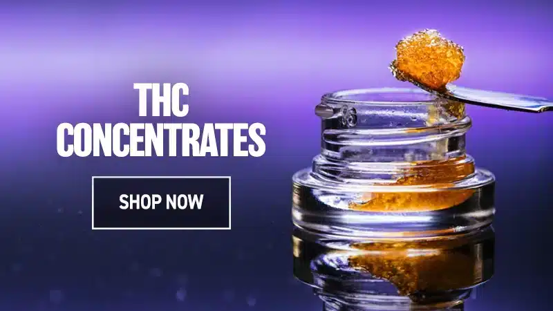 thca concentrates