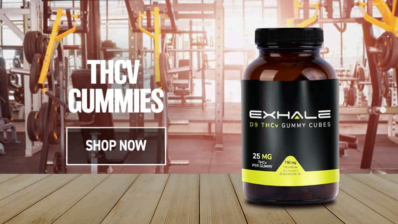 thcv gummies shop now blog cta alt 2
