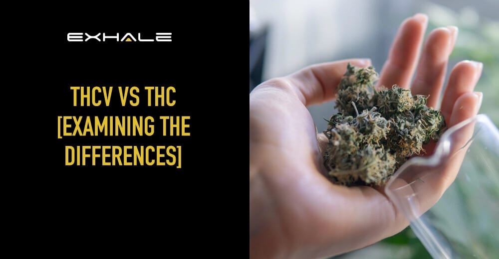 thcv vs thc