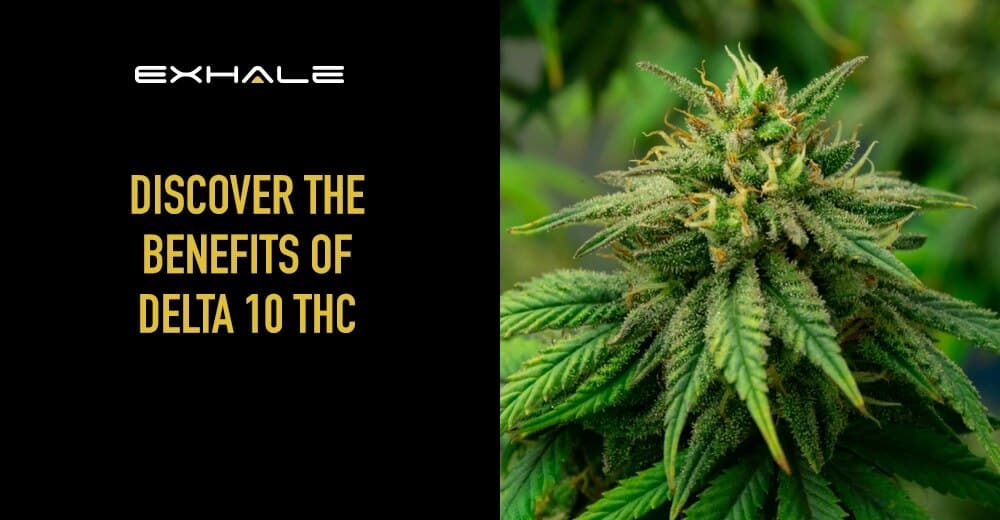 delta 10 benefits