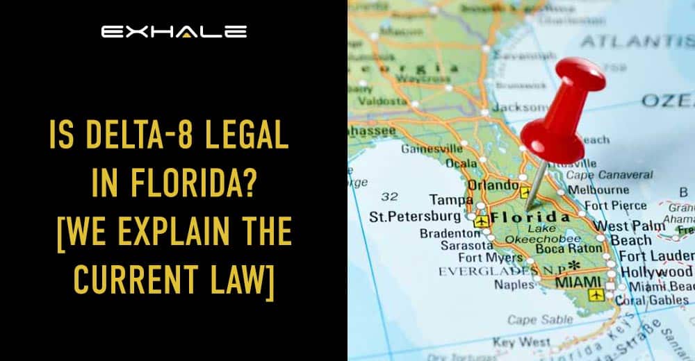 buy pax vape Delta 8 THC CBD Vape Cartridge Delray-beach, FL| EarthE CBD main image 1
