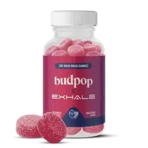 Live Rosin Indica Gummies