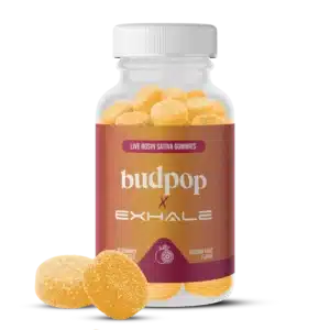 D9 Live Rosin Sativa Gummies