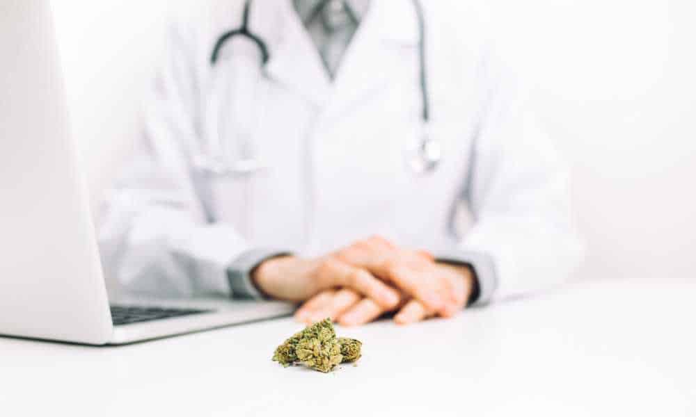 cannabis bud in foreground doctor in background