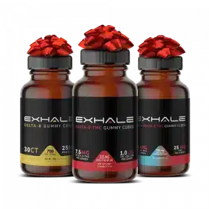 Holiday Calming Bundle