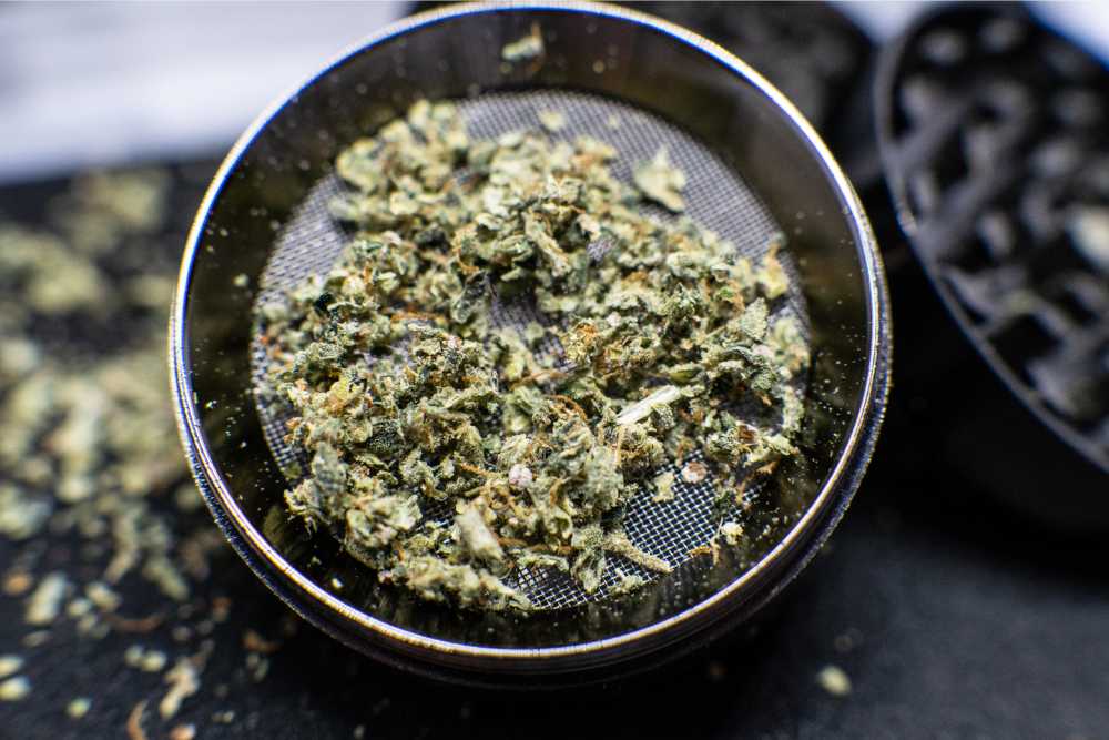 cannabis flower open grinder closeup
